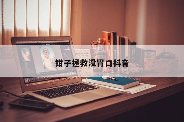 鉗子拯救沒胃口抖音