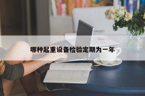 哪種起重設(shè)備檢驗(yàn)定期為一年