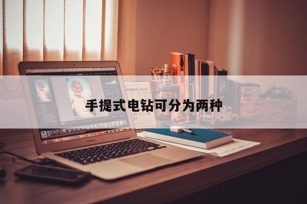 手提式電鉆可分為兩種