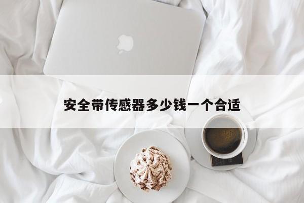 安全帶傳感器多少錢一個合適
